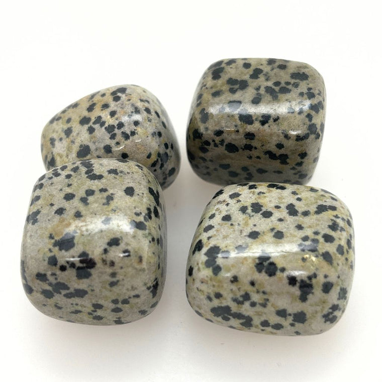 dalmatian jasper tumble stones