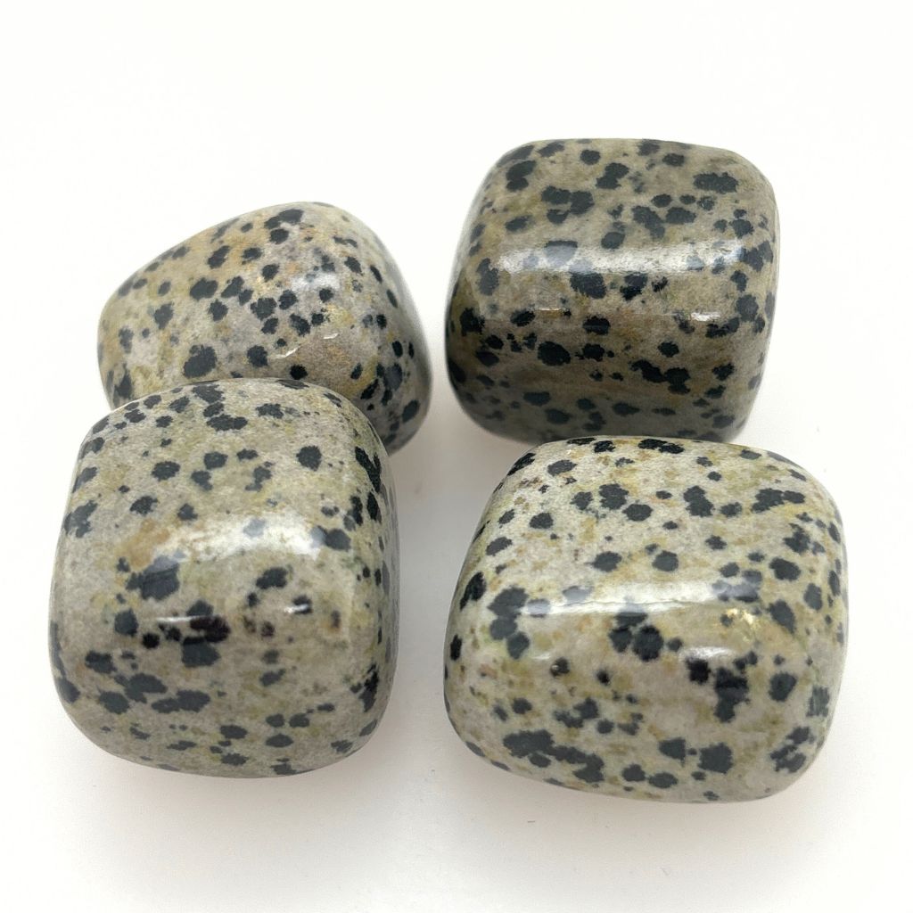 dalmatian jasper tumble stones