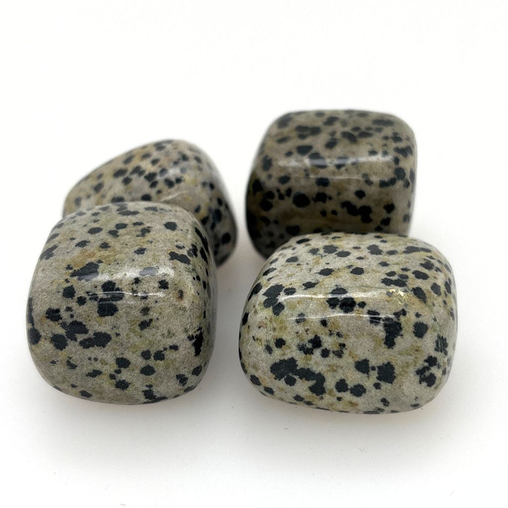dalmatian jasper tumble stones