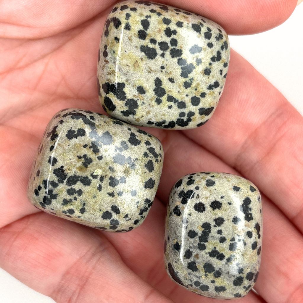 dalmatian jasper tumble stones