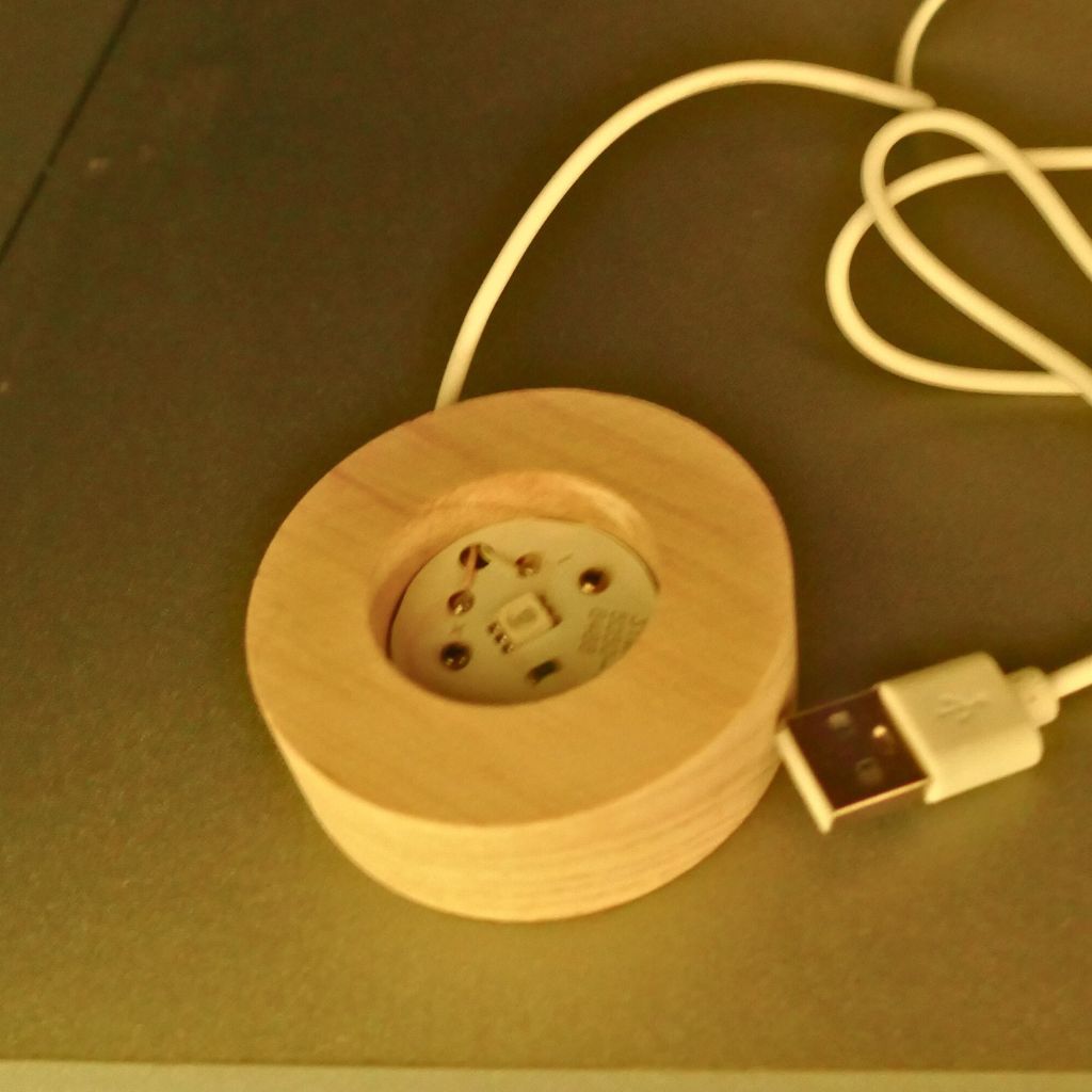 dolphin USB LED light