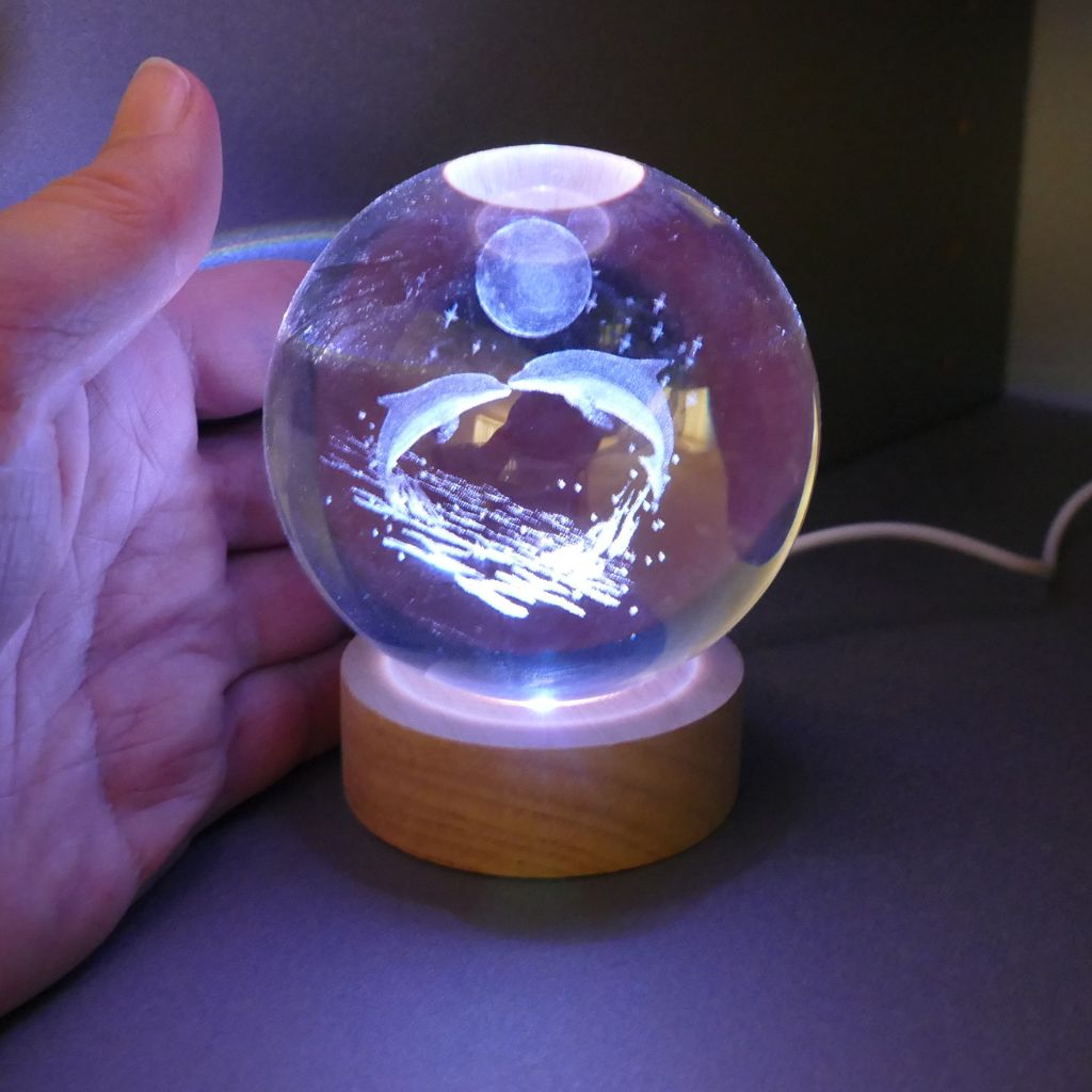 dolphin USB LED light