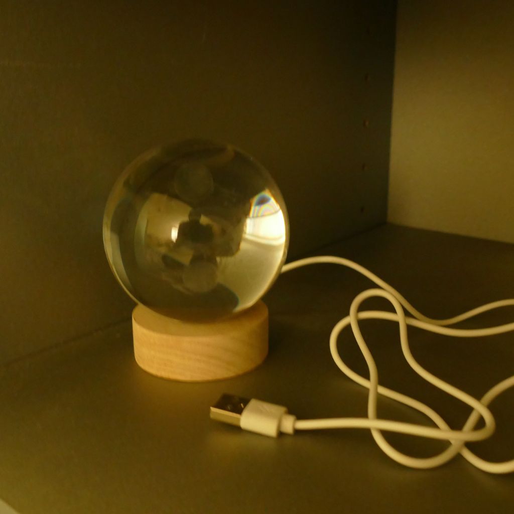 dolphin USB LED light