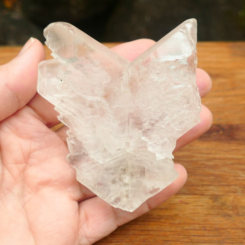 Natural Fishtail Selenite (Angel Wing Selenite) crystal specimen with translucent wing-like formation for energy cleansing and meditation.
