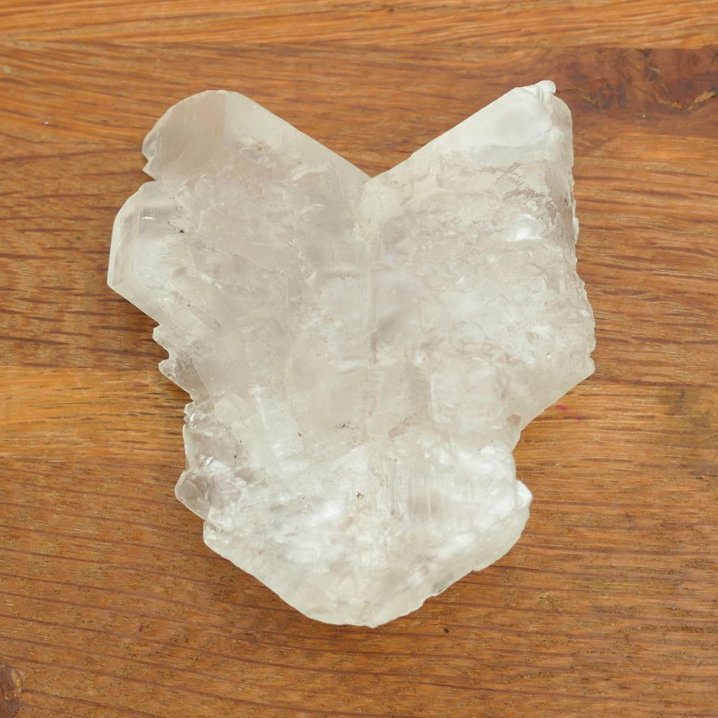 Natural Fishtail Selenite (Angel Wing Selenite) crystal specimen with translucent wing-like formation for energy cleansing and meditation.
