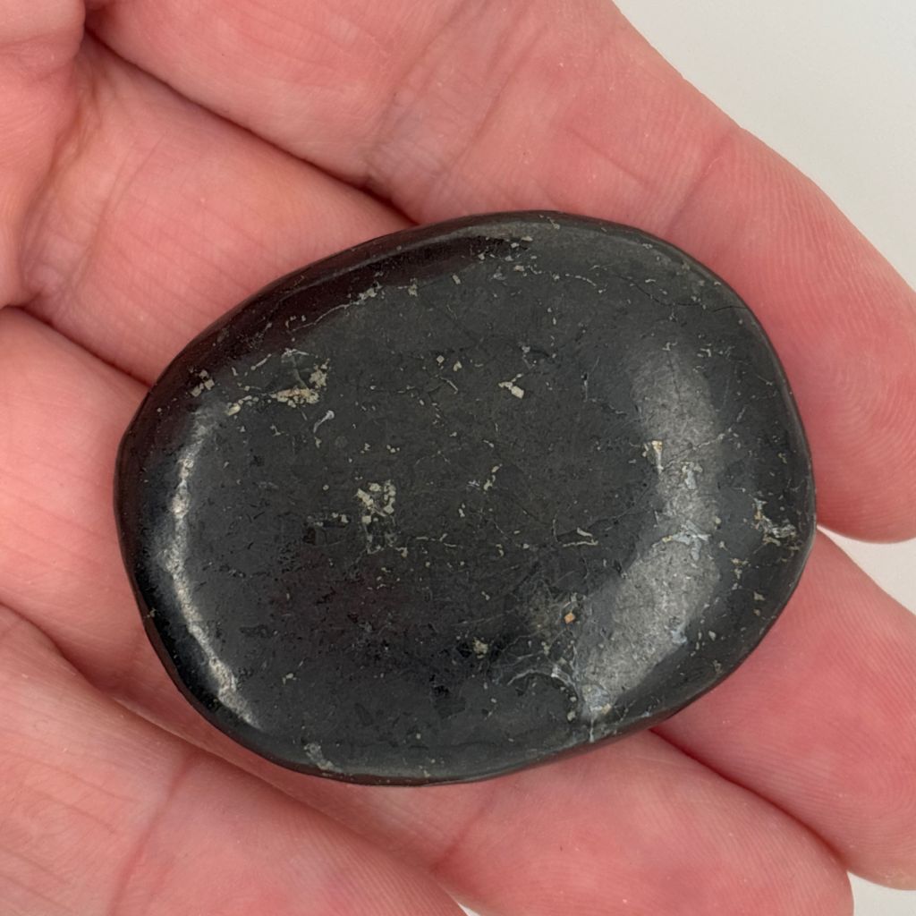 Natural polished Jet Palm Stone for grounding, protection and emotional healing.