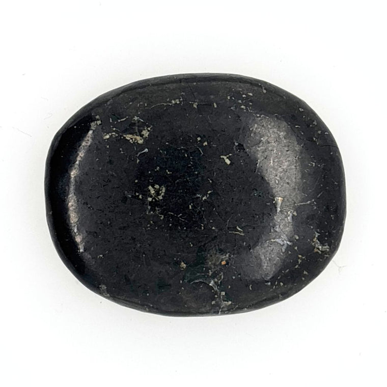 Natural polished Jet Palm Stone for grounding, protection and emotional healing.