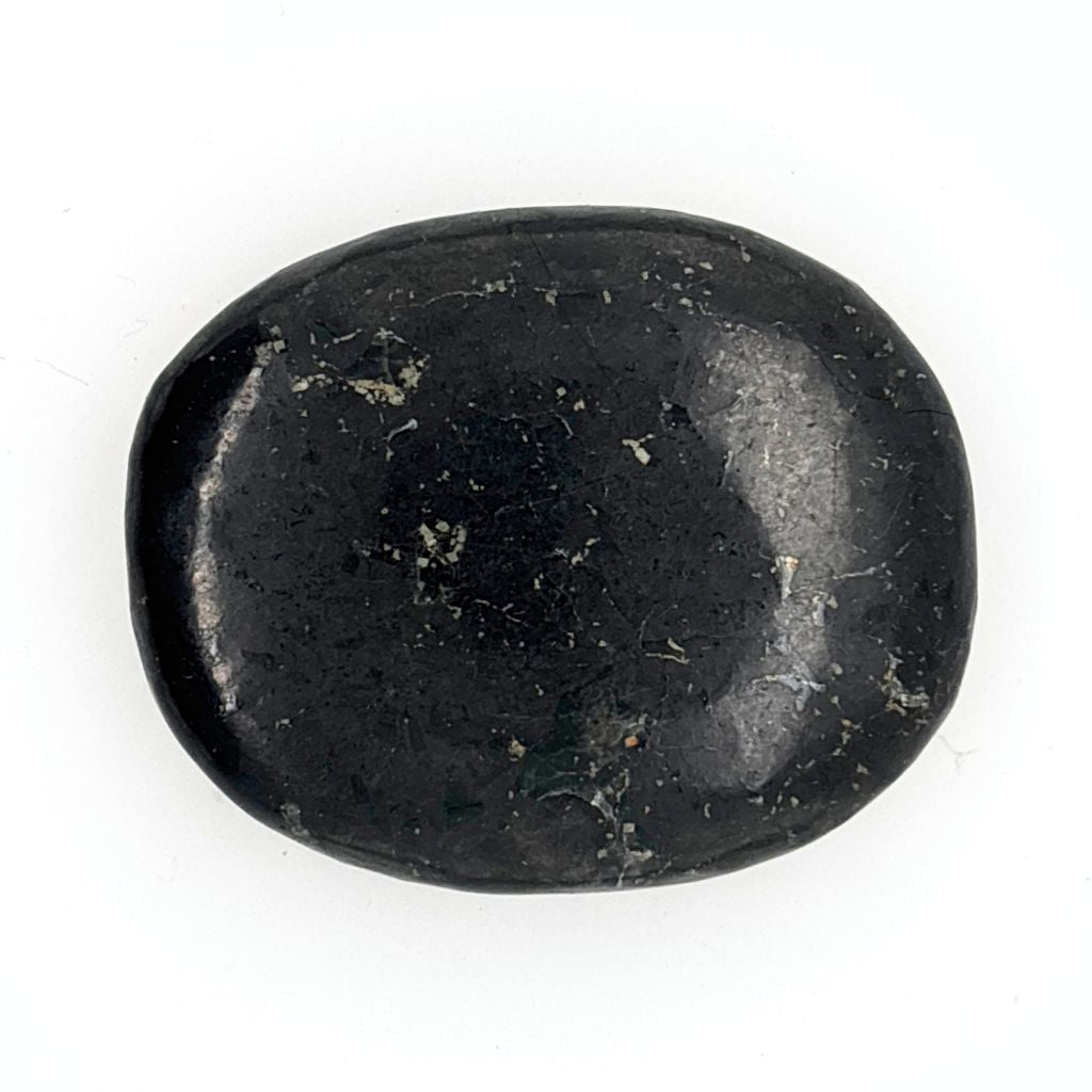 Natural polished Jet Palm Stone for grounding, protection and emotional healing.