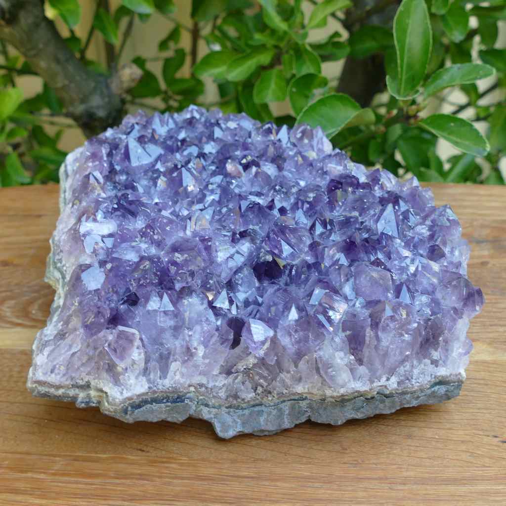 large amethyst cluster