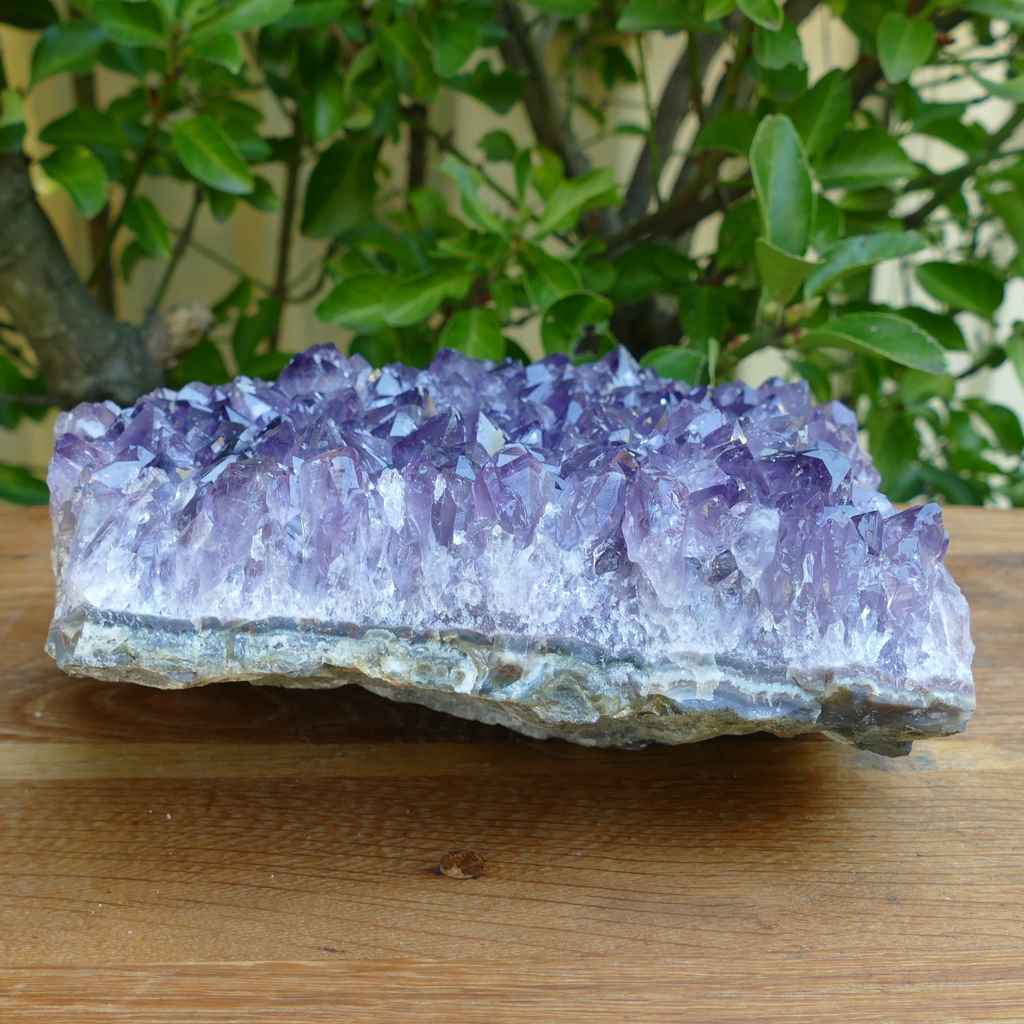 large amethyst cluster