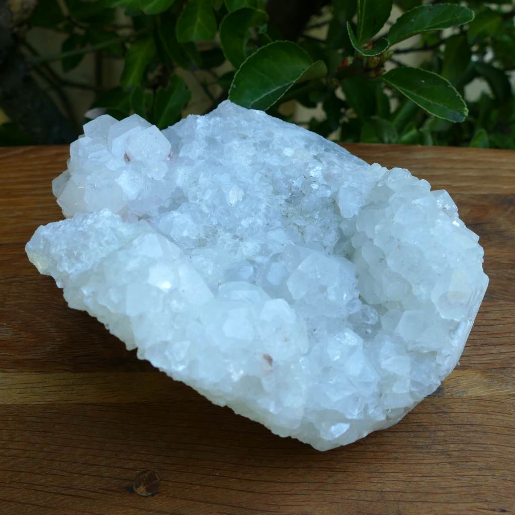large apophyllite cluster