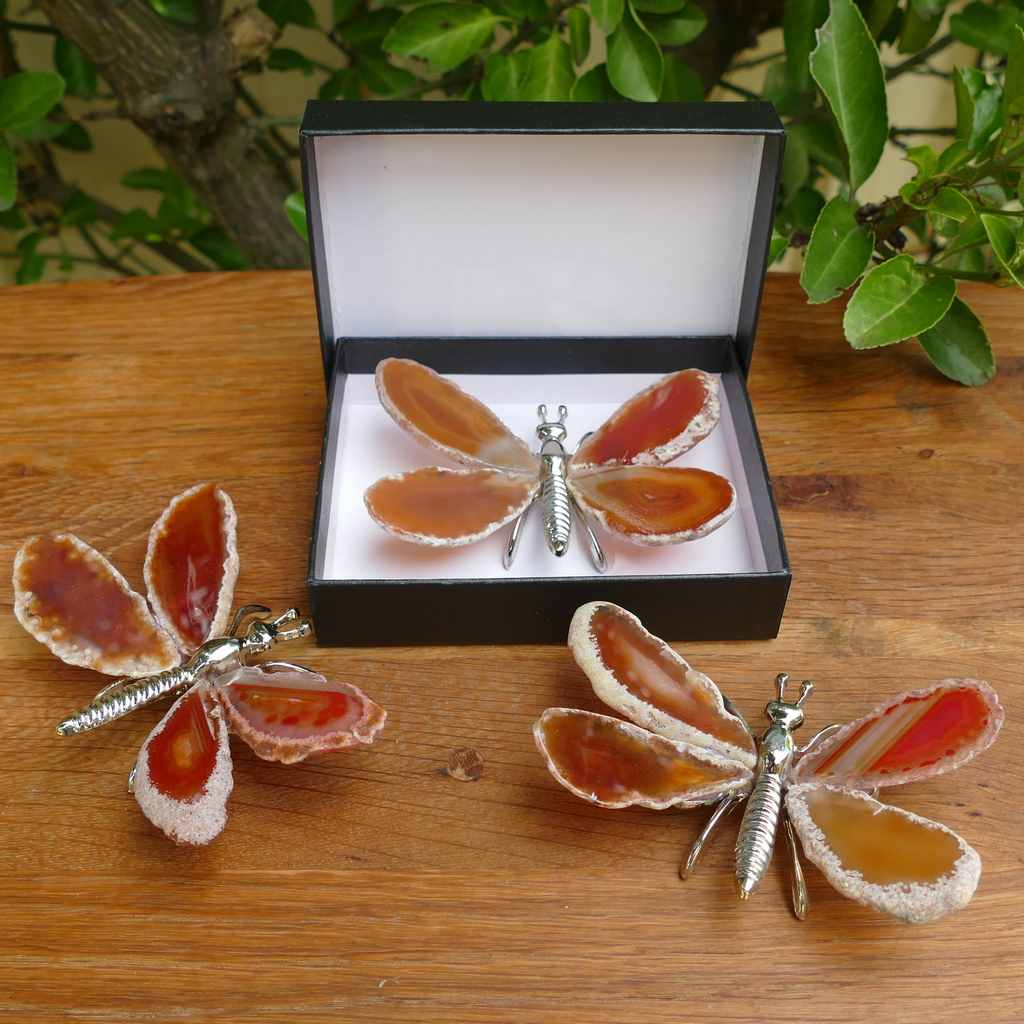 orange agate butterfly