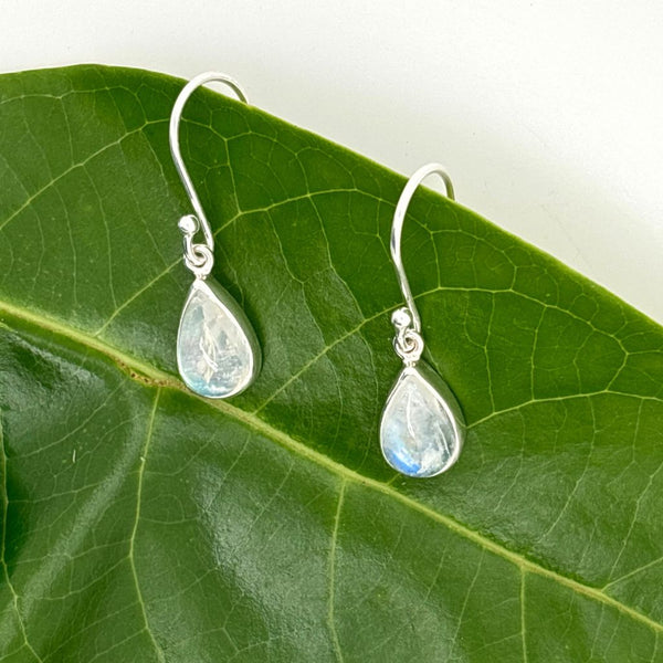 Rainbow Moonstone Earrings with Mystical Shine