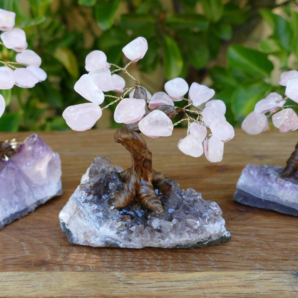 Bonsai Gem Tree - Rose Quartz