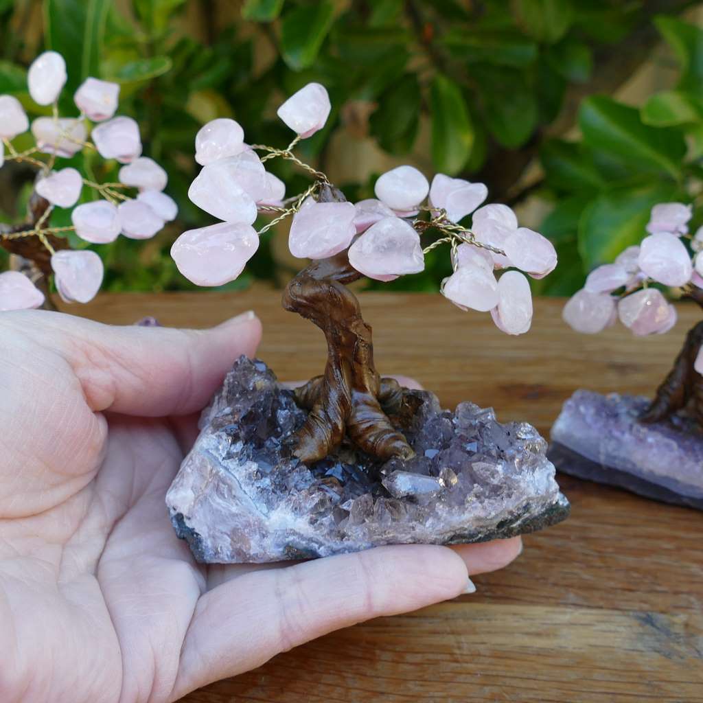Bonsai Gem Tree - Rose Quartz