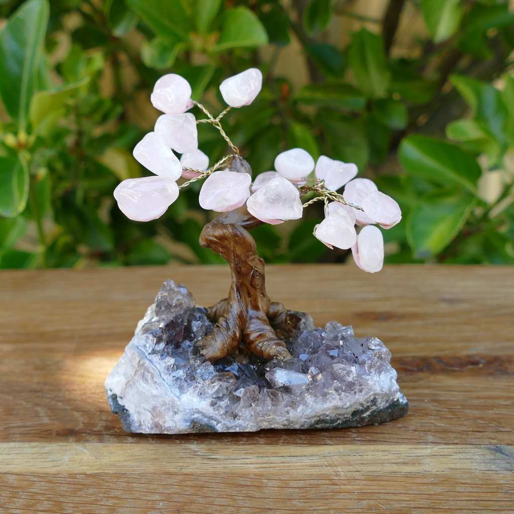 Bonsai Gem Tree Rose Quartz