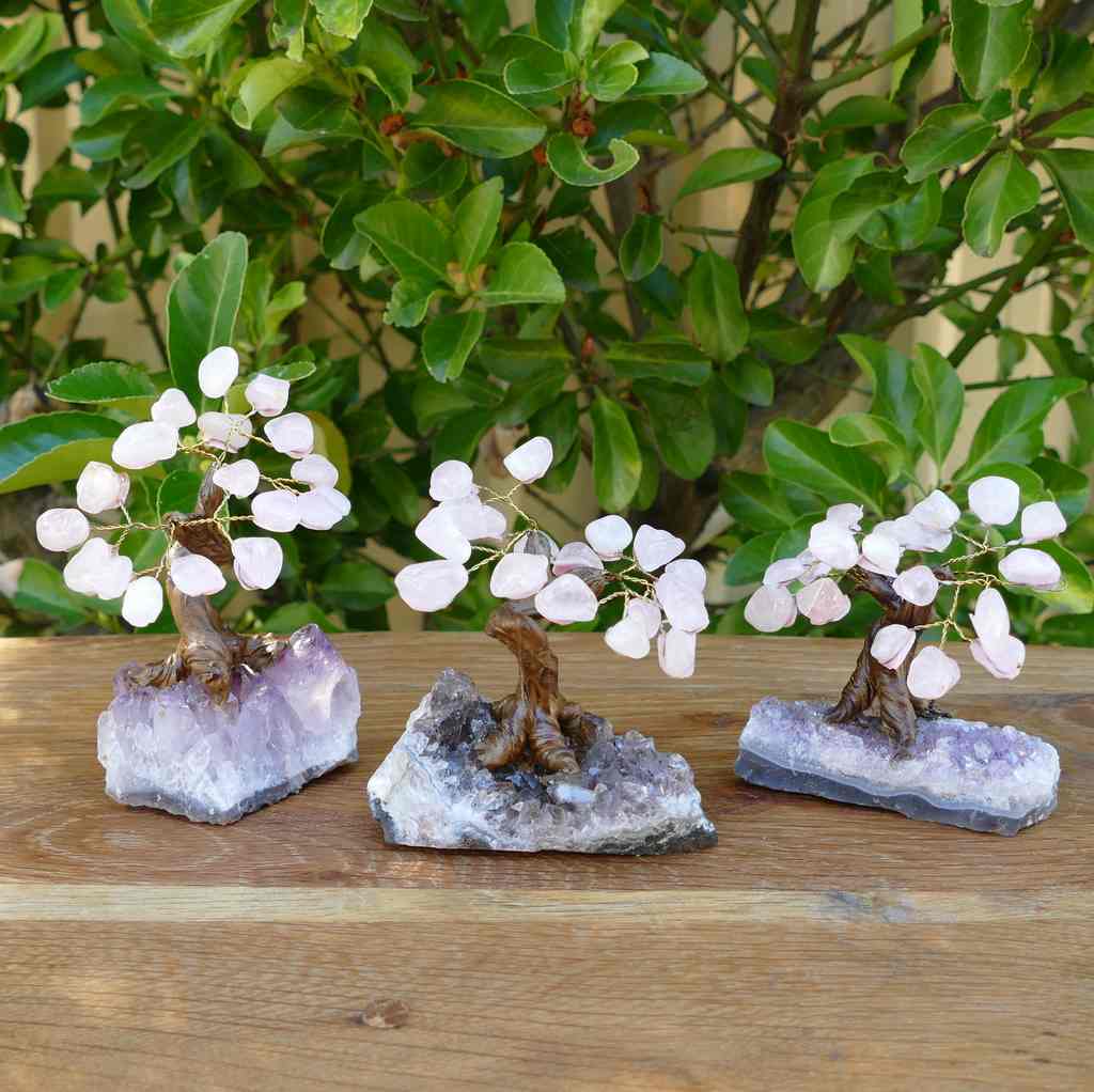Bonsai Gem Tree - Rose Quartz