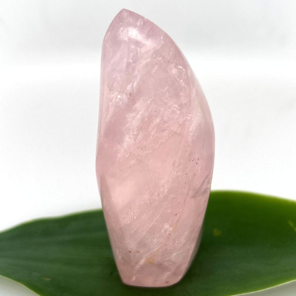 Rose Quartz Crystal Flame Beautifully Polished