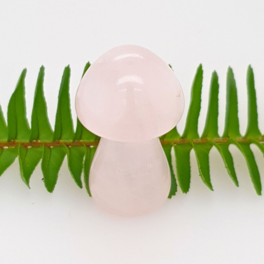 rose quartz crystal mushrooms