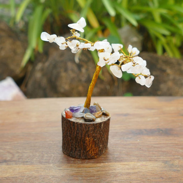 Crystal Gem Tree Rose Quartz on Wooden Base with Mixed Crystal
