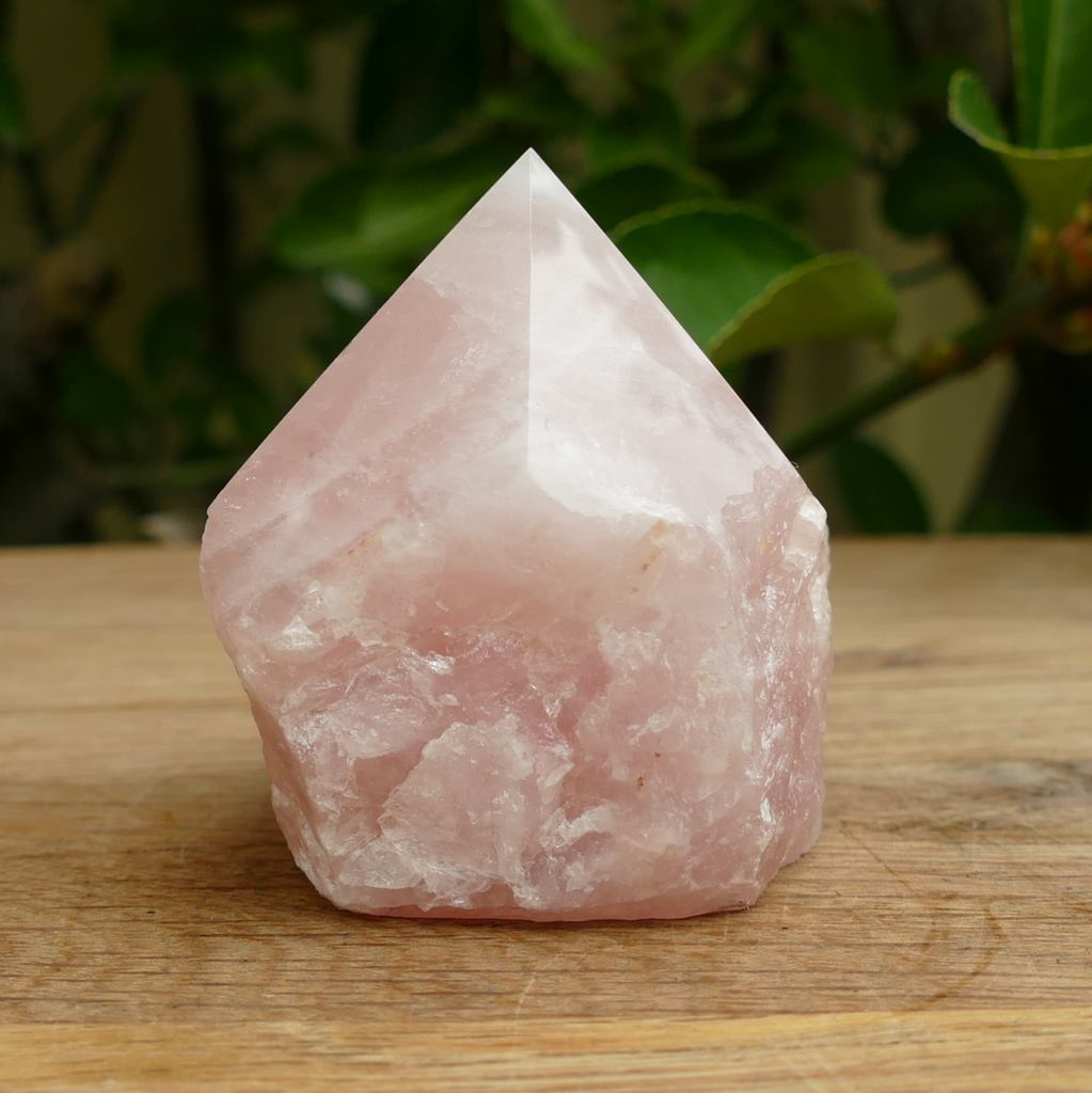 rose quartz semi polished points