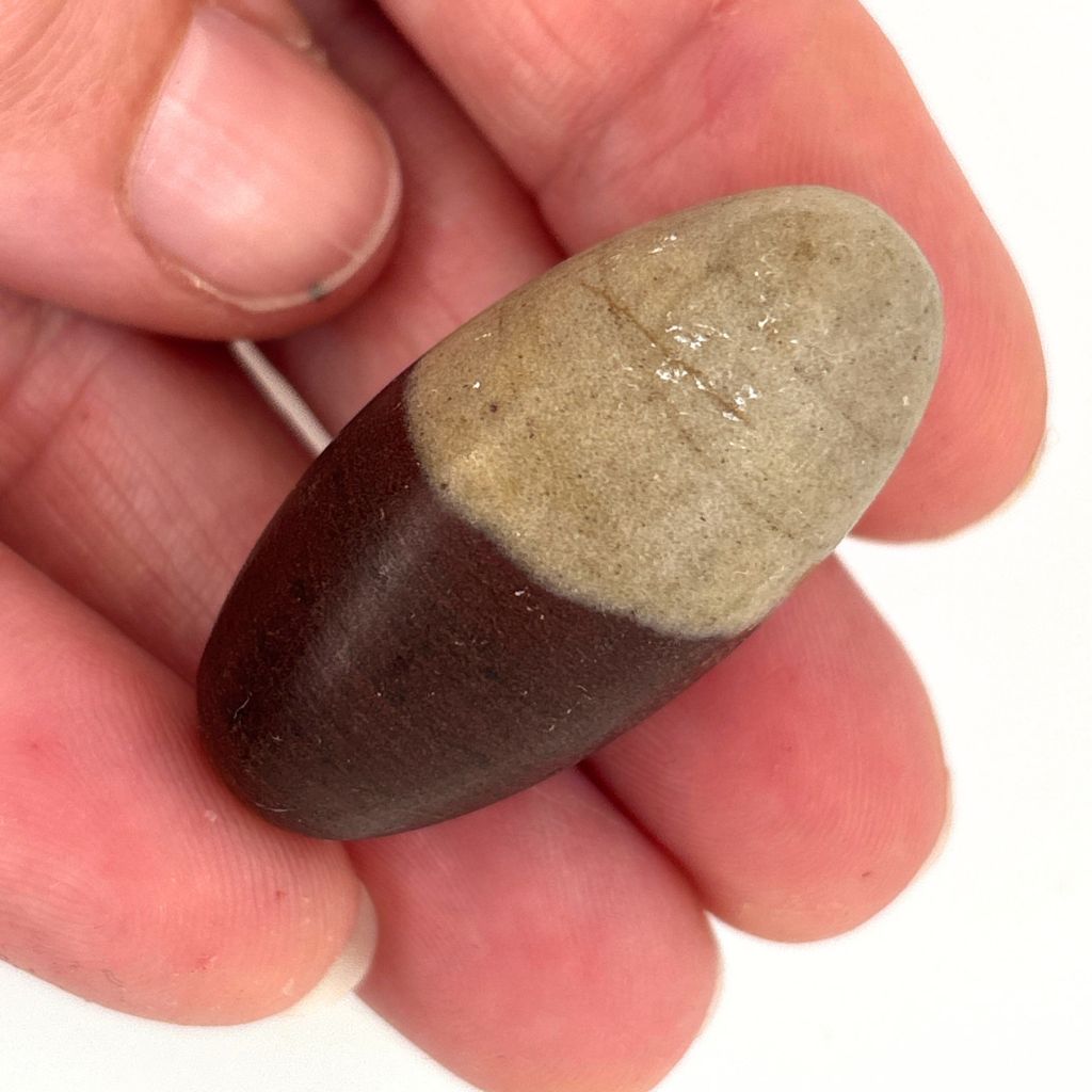 Natural Shiva Lingam Stone 40mm with brown and beige markings