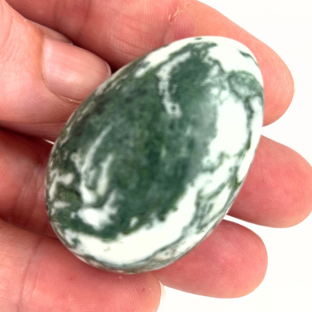 Natural Tree Agate crystal egg with green and white dendritic patterns