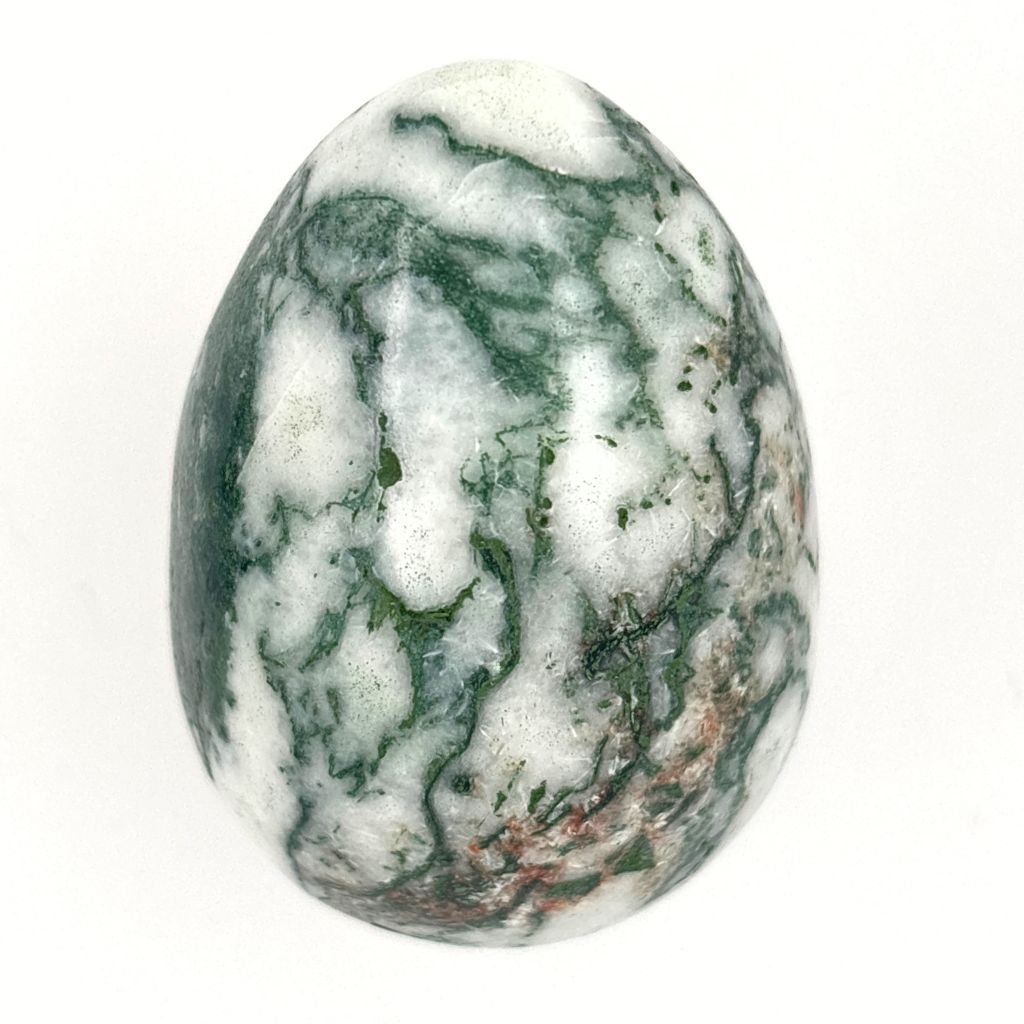 Natural Tree Agate crystal egg with green and white dendritic patterns