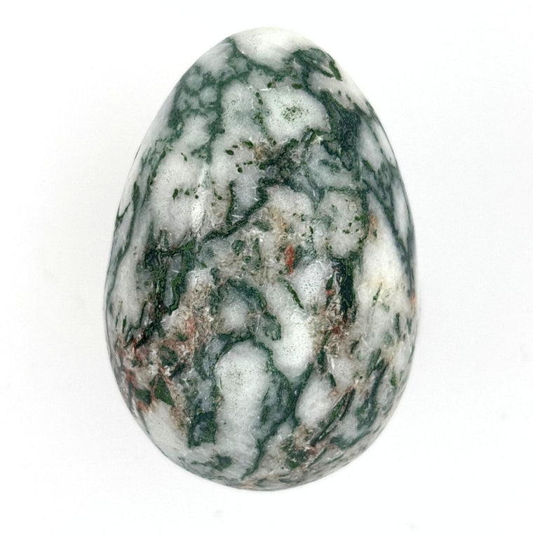 Natural Tree Agate crystal egg with green and white dendritic patterns