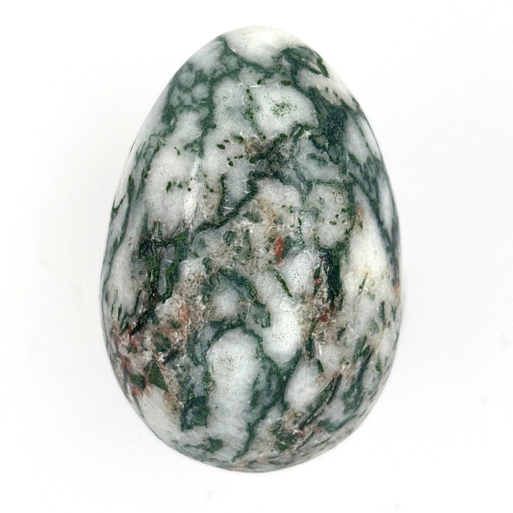 Natural Tree Agate crystal egg with green and white dendritic patterns