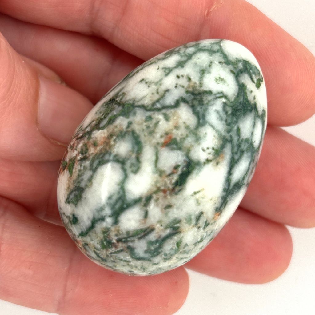Natural Tree Agate crystal egg with green and white dendritic patterns