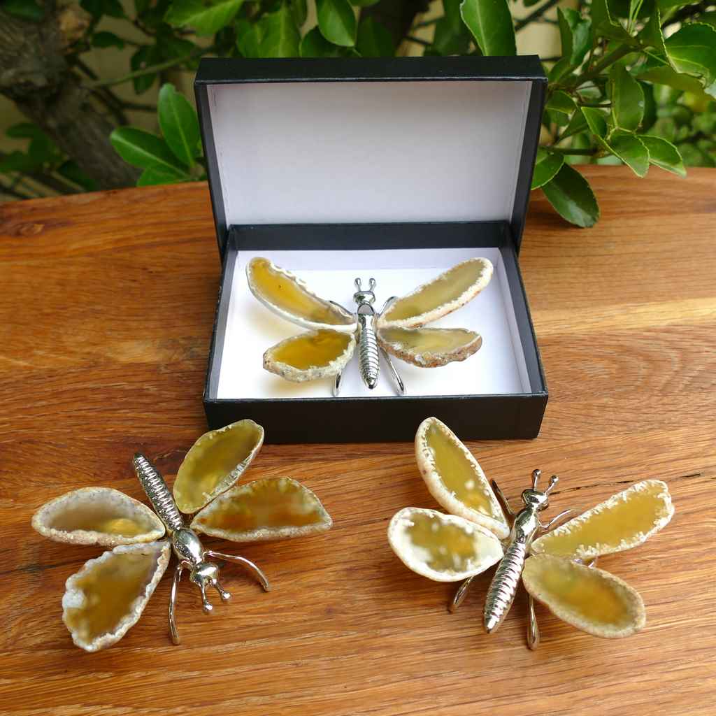 yellow agate butterflies
