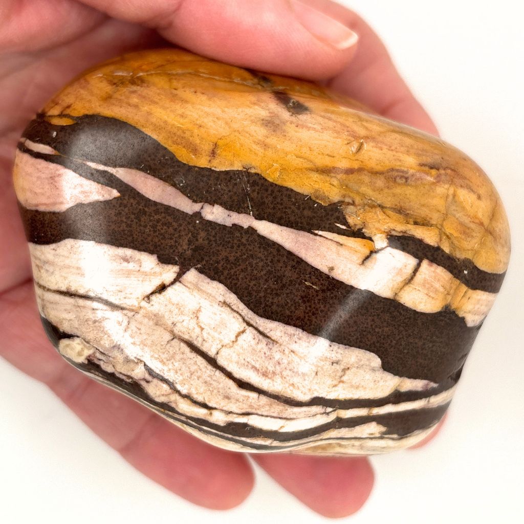 Natural Zebra Jasper Freeform 403g with earthy brown, cream and golden banding
