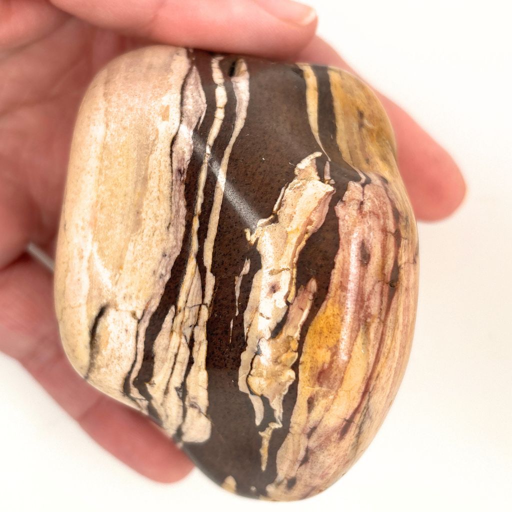 Natural Zebra Jasper Freeform 403g with earthy brown, cream and golden banding
