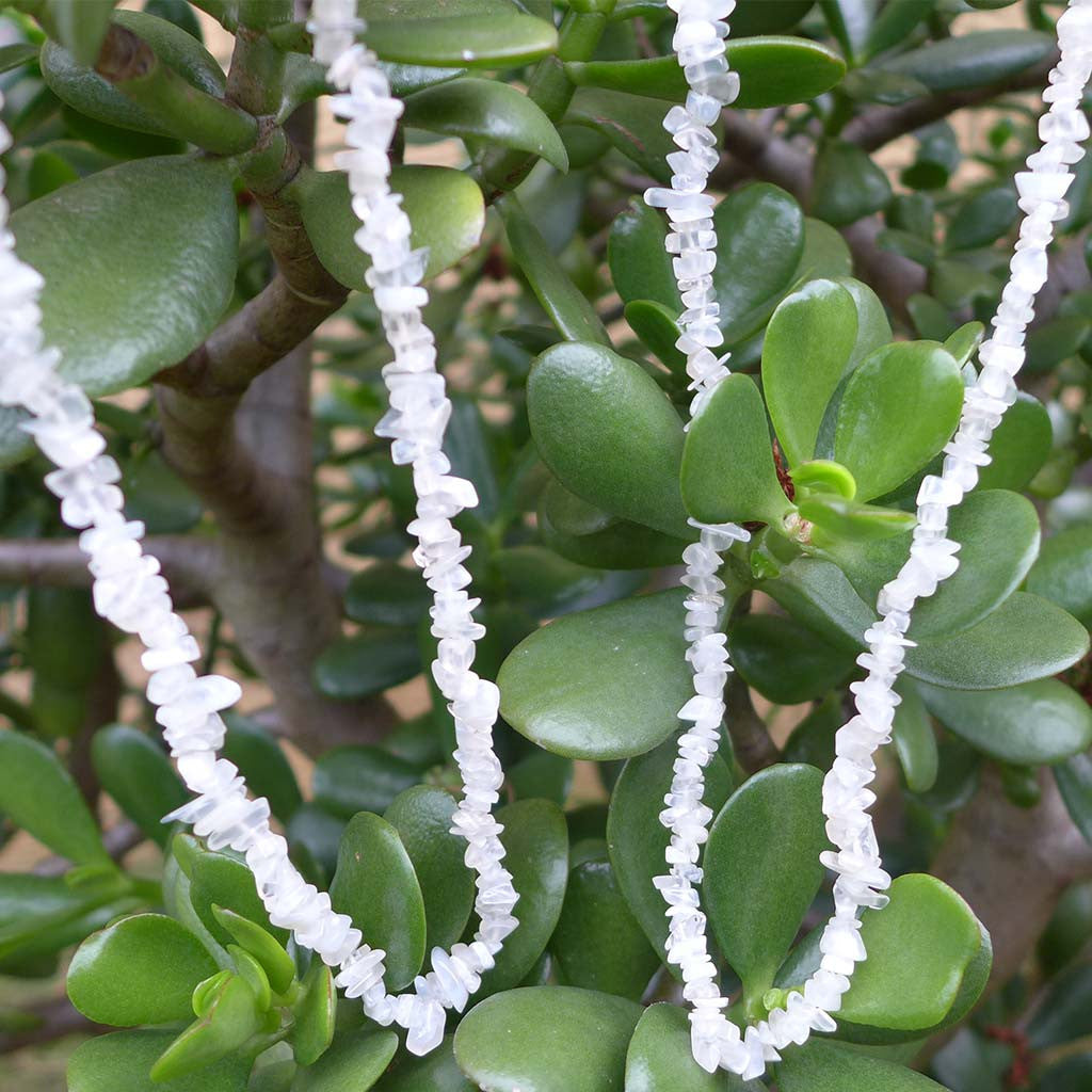 Moonstone Chip Necklaces