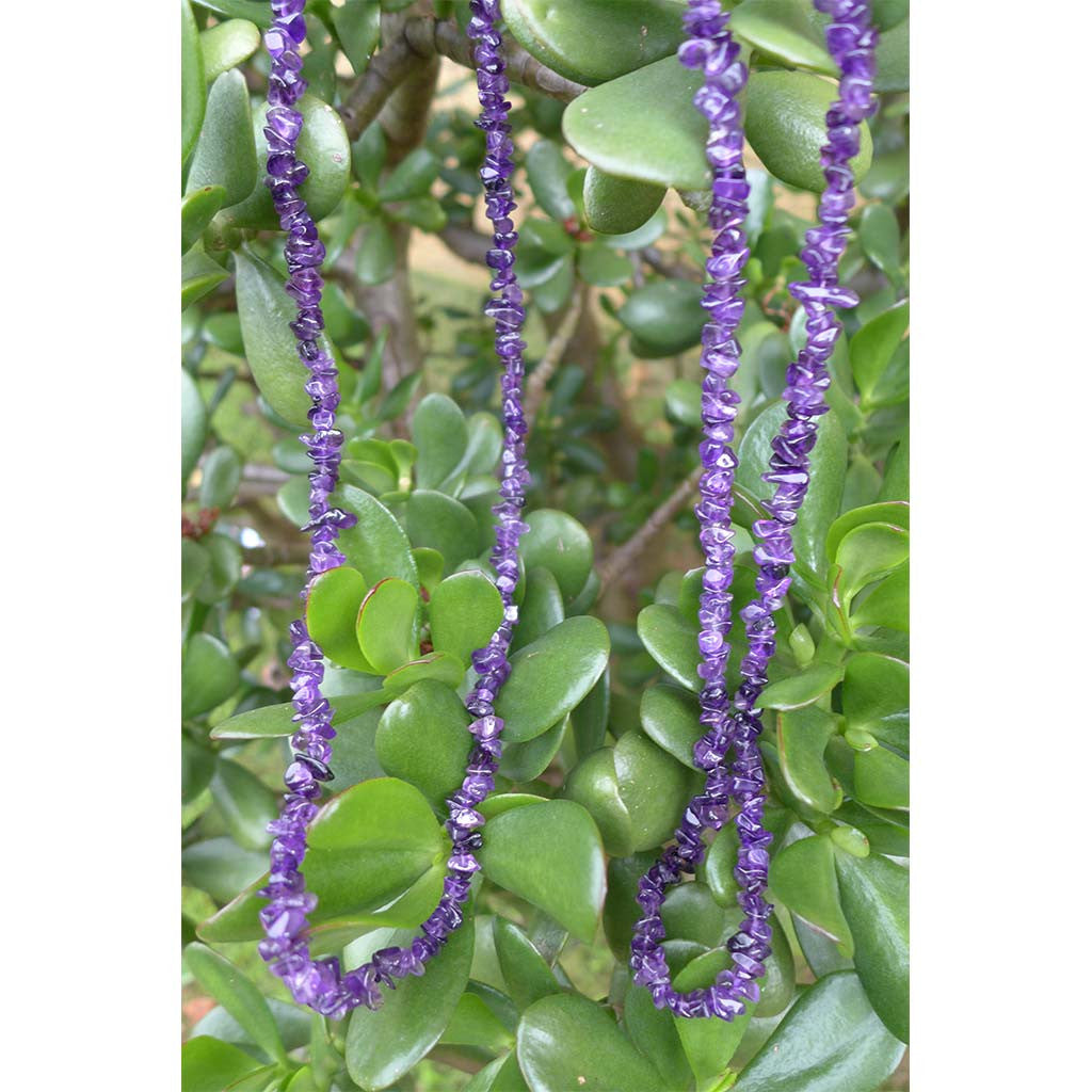 Amethyst Chip Necklaces Stone Gemstone Beads Jewellery