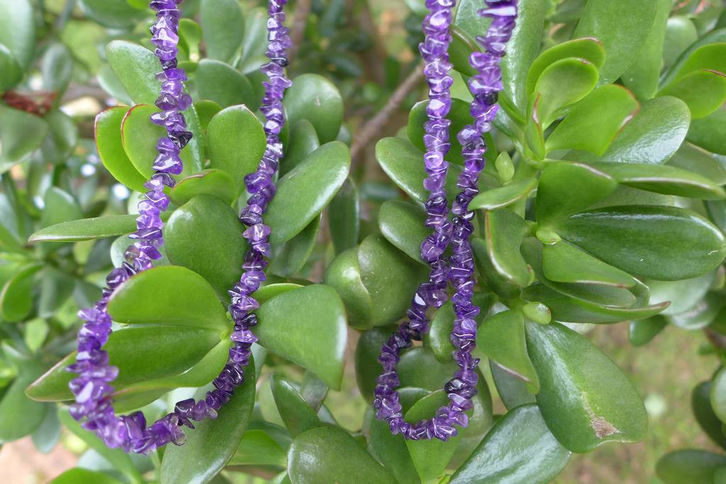 Amethyst Chip Necklaces Stone Gemstone Beads Jewellery