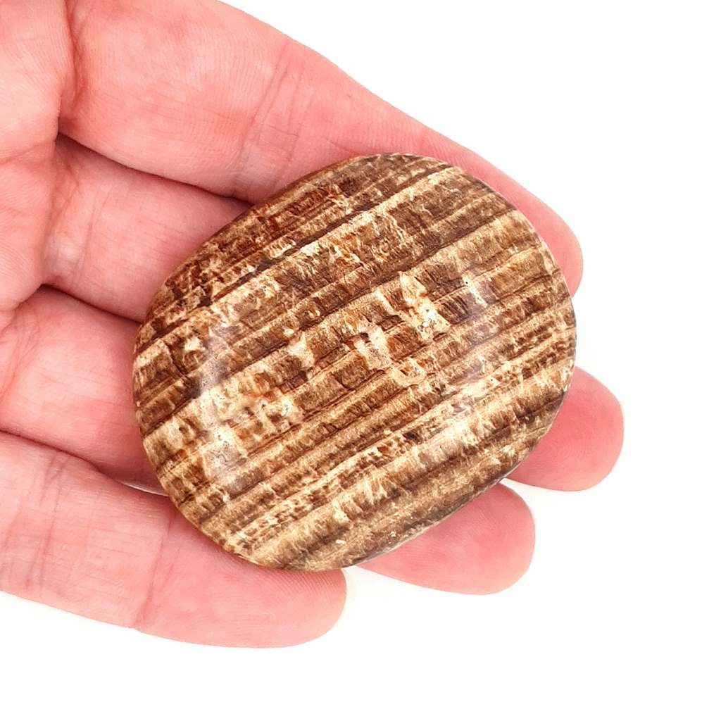 Aragonite Palm Stones