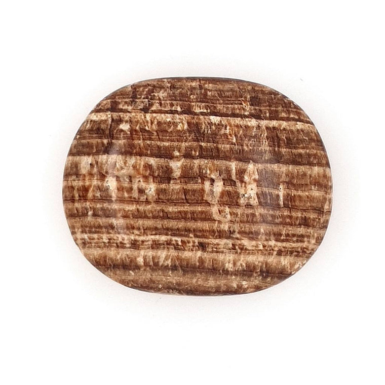 Aragonite Palm Stones