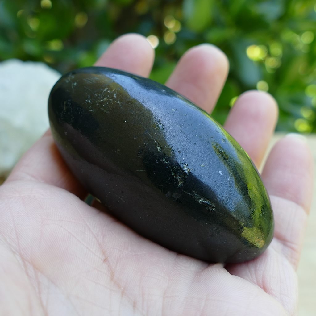 Black Tourmaline Lingham hand size