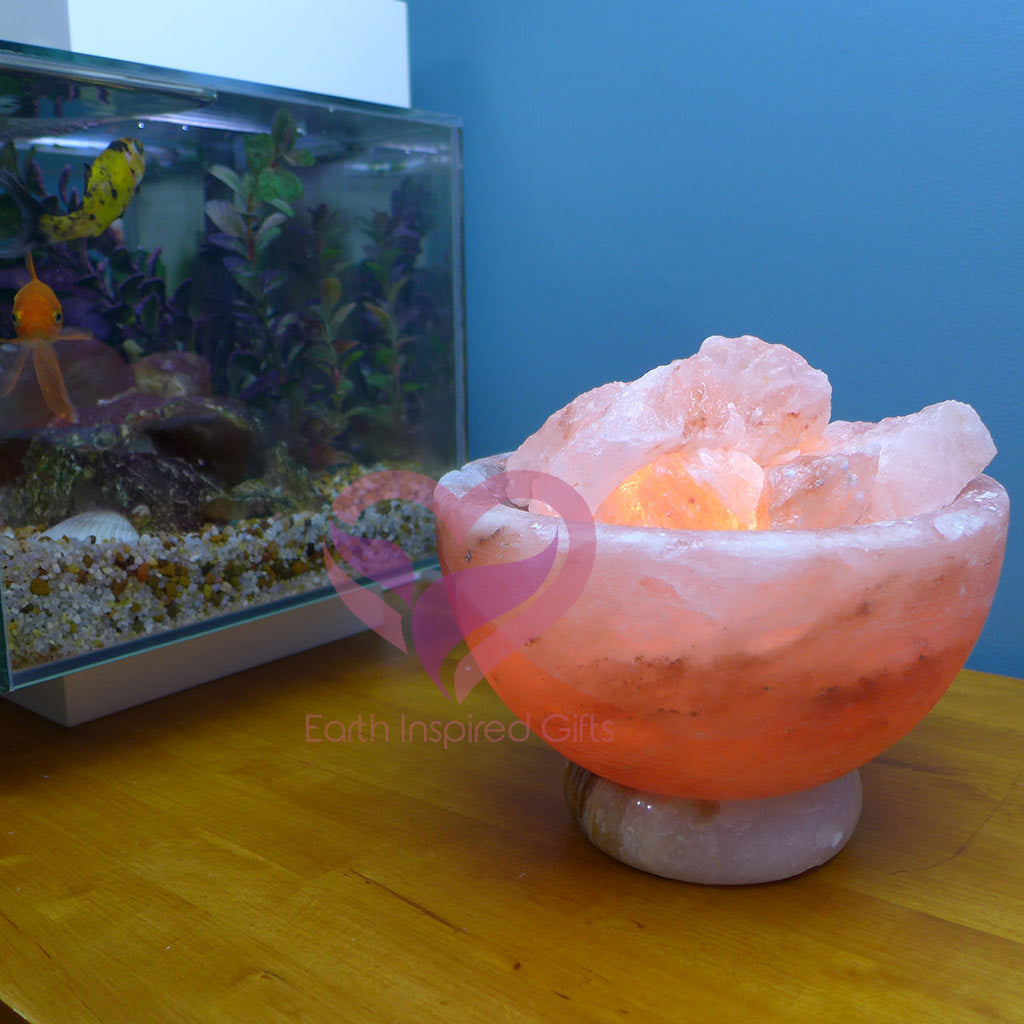 Himalayan Salt Bowl Fire Bowl Lamp