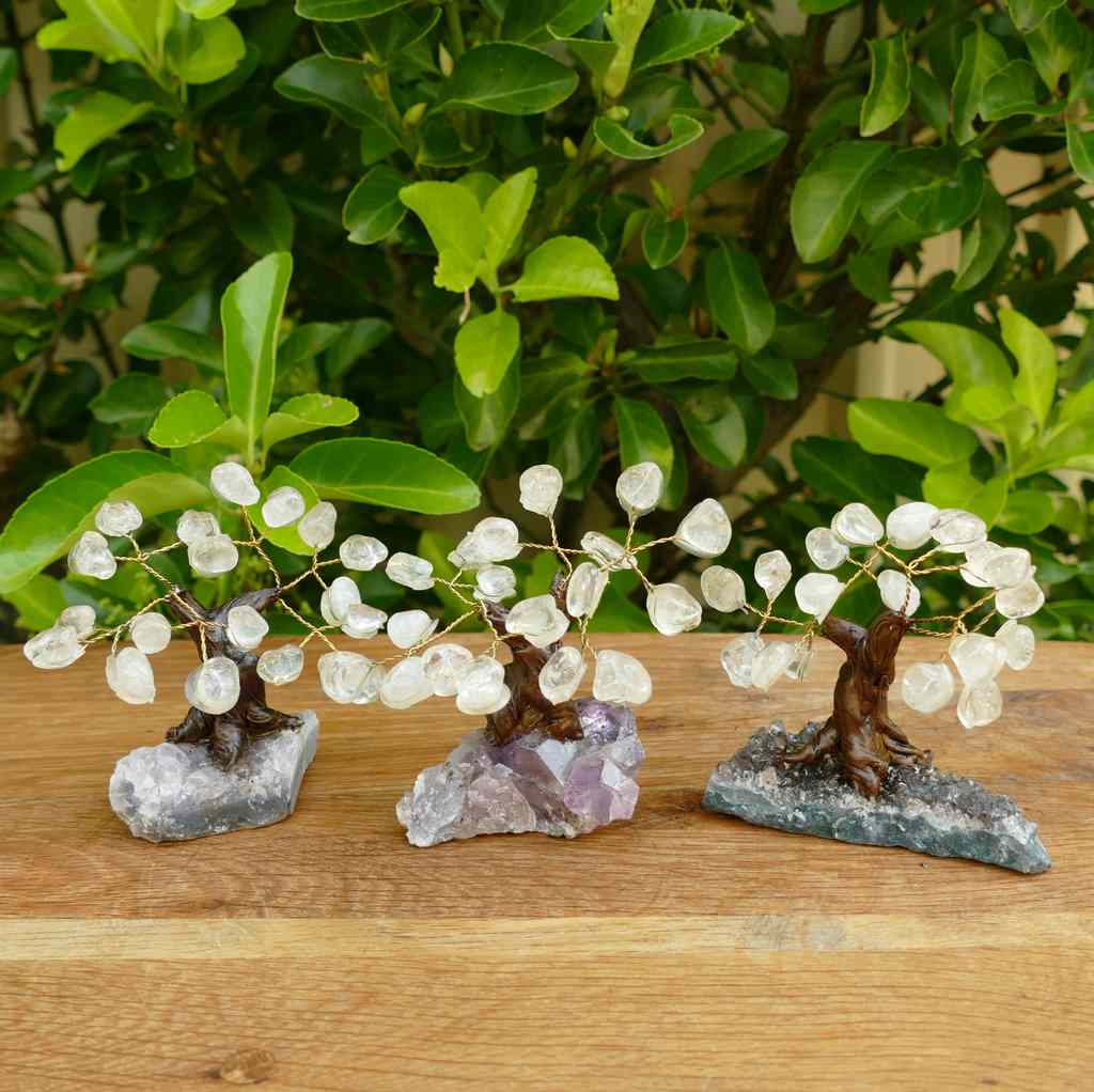 Bonsai Gem Tree with Beautiful Clear Quartz Crystals on an Amethyst Crystal Base