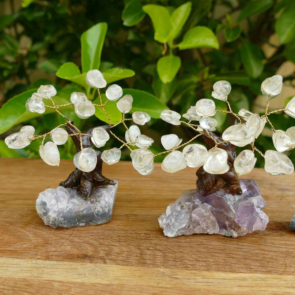 Bonsai Gem Tree with Beautiful Clear Quartz Crystals on an Amethyst Crystal Base