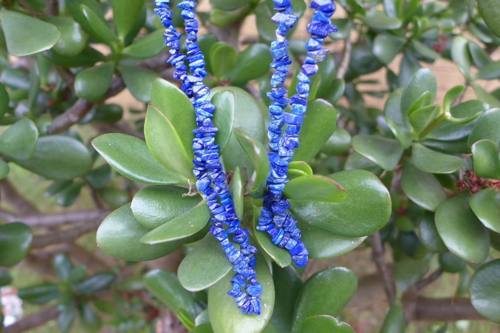 Lapis Chip Necklaces